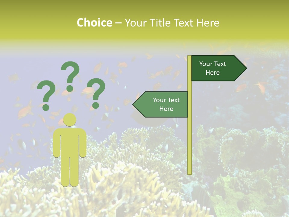 Underwater Landscape With Surgeon-Fish. Red Sea PowerPoint Template