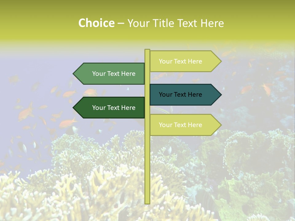 Underwater Landscape With Surgeon-Fish. Red Sea PowerPoint Template