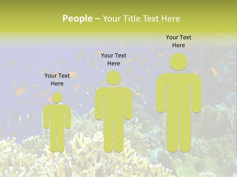 Underwater Landscape With Surgeon-Fish. Red Sea PowerPoint Template