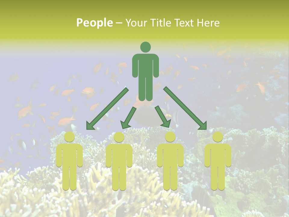 Underwater Landscape With Surgeon-Fish. Red Sea PowerPoint Template