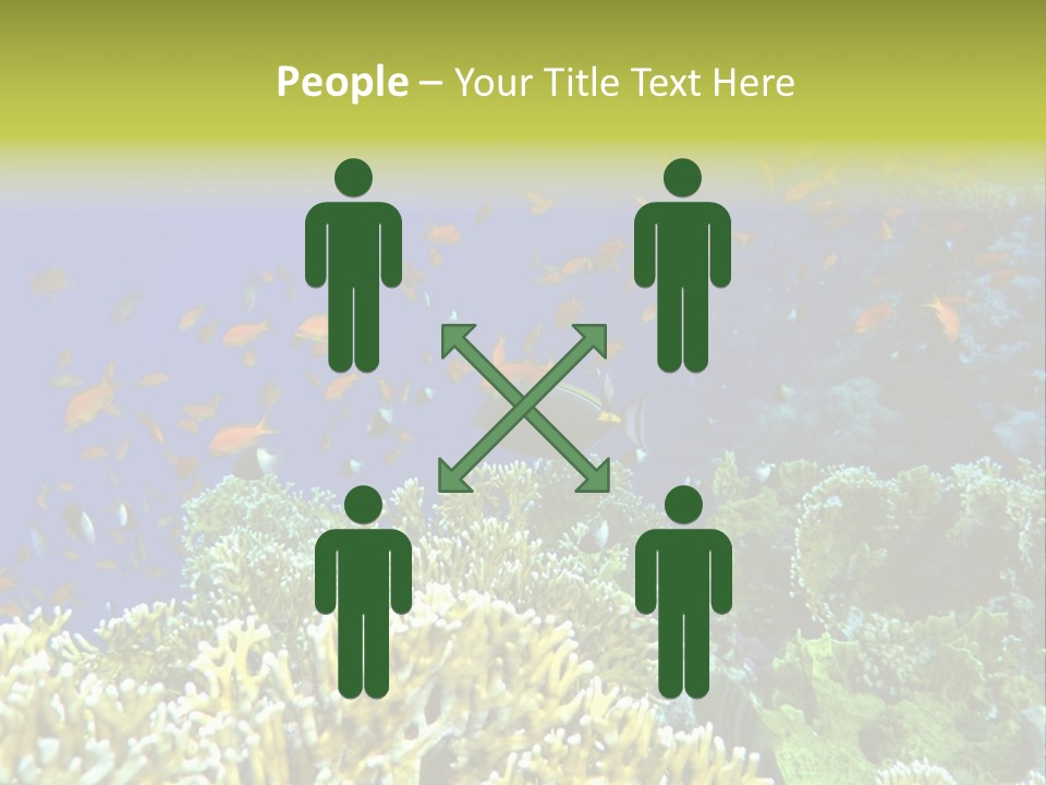 Underwater Landscape With Surgeon-Fish. Red Sea PowerPoint Template