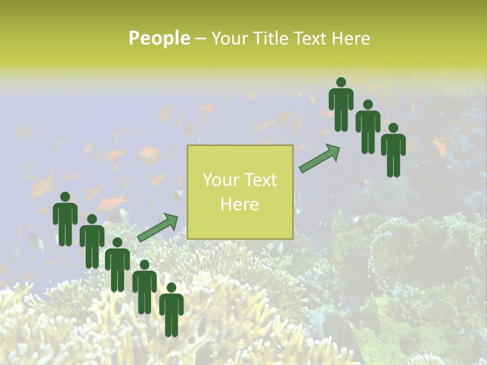 Underwater Landscape With Surgeon-Fish. Red Sea PowerPoint Template