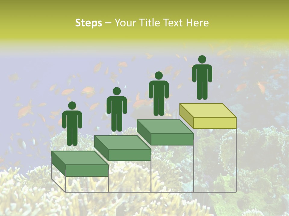 Underwater Landscape With Surgeon-Fish. Red Sea PowerPoint Template