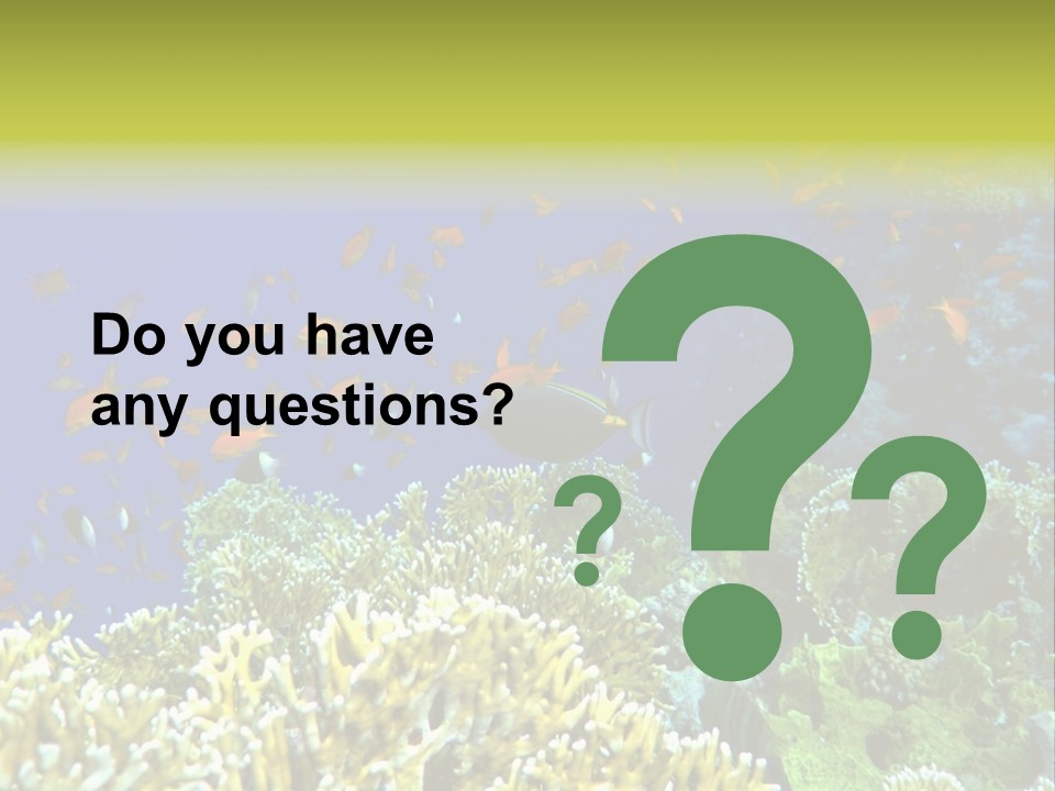 Underwater Landscape With Surgeon-Fish. Red Sea PowerPoint Template