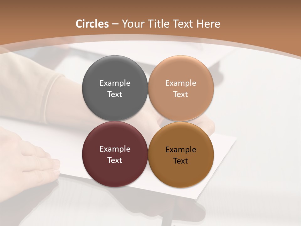 Dachshund On White Background PowerPoint Template