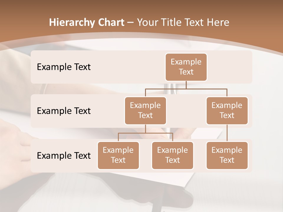Dachshund On White Background PowerPoint Template