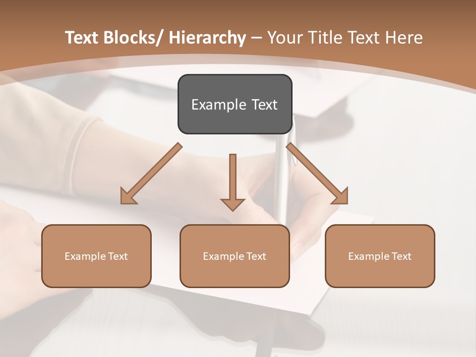 Dachshund On White Background PowerPoint Template