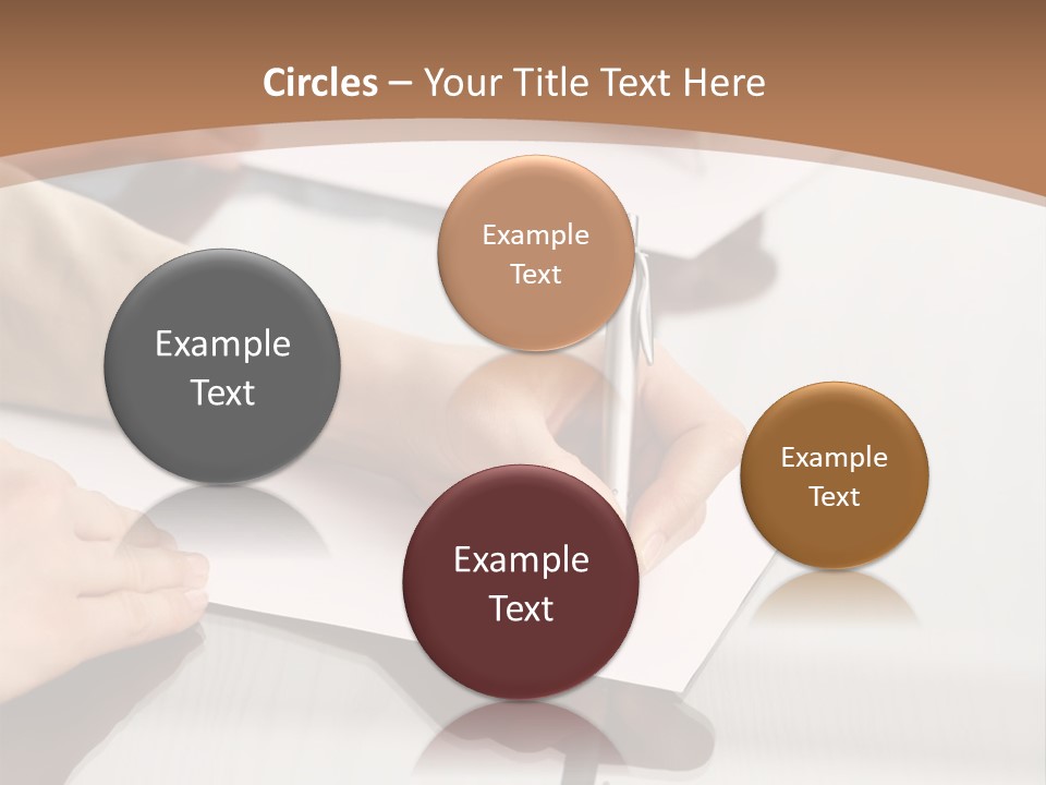 Dachshund On White Background PowerPoint Template