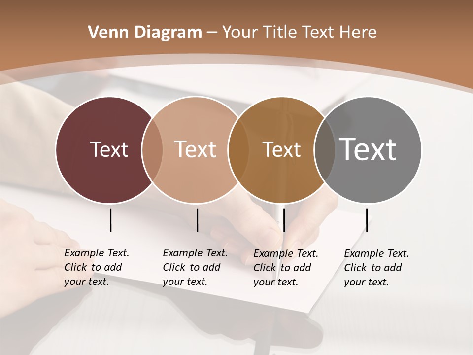 Dachshund On White Background PowerPoint Template