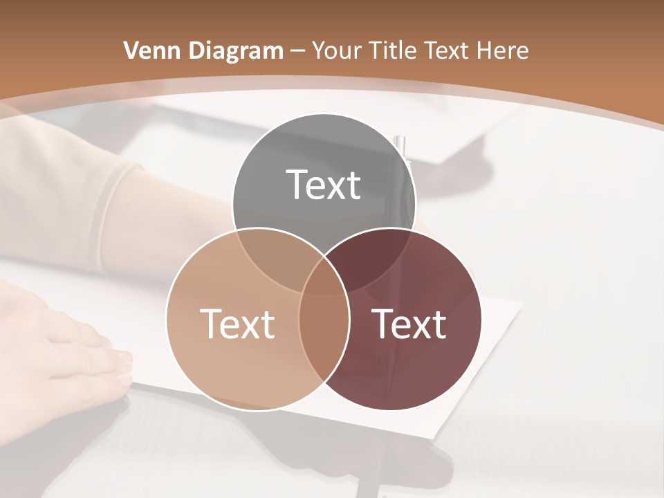 Dachshund On White Background PowerPoint Template