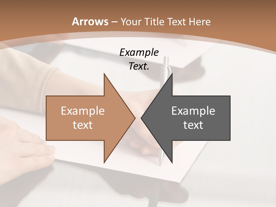 Dachshund On White Background PowerPoint Template