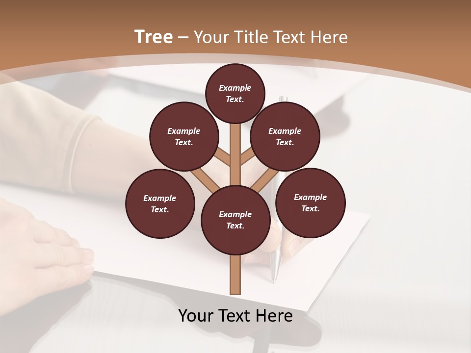 Dachshund On White Background PowerPoint Template