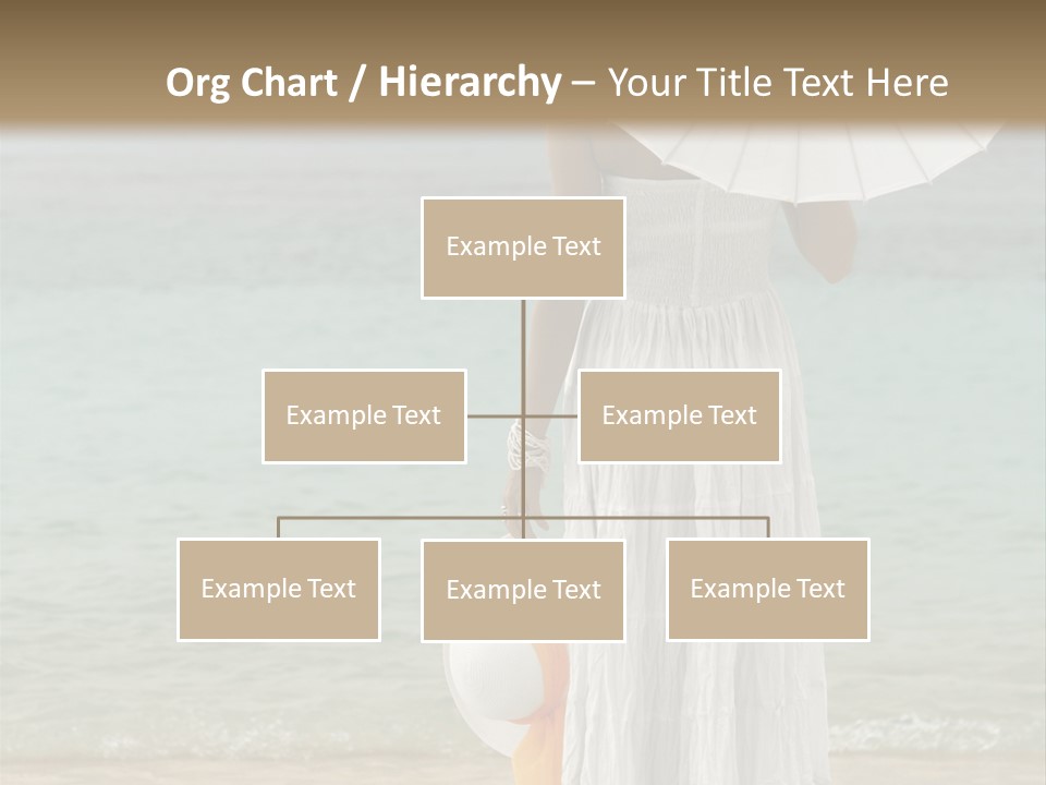 High Key Portrait Of A Ballerina, Ballet Dancer. Studio Shoot PowerPoint Template