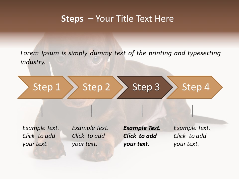 Dachshund On White Background PowerPoint Template