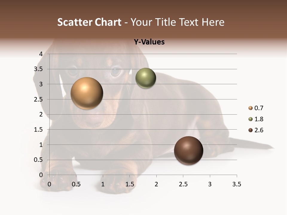 Dachshund On White Background PowerPoint Template