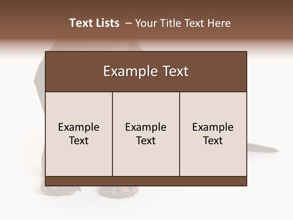 Dachshund On White Background PowerPoint Template