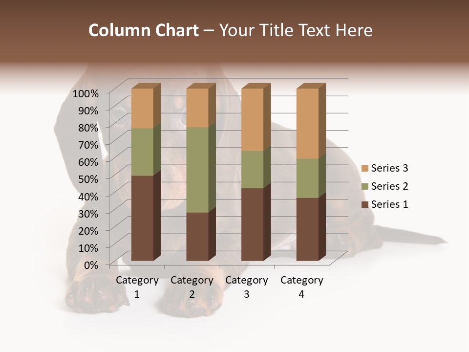 Dachshund On White Background PowerPoint Template