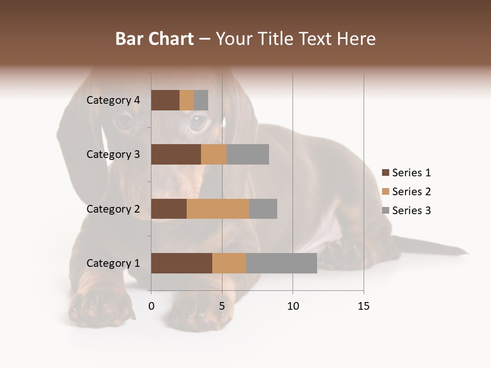 Dachshund On White Background PowerPoint Template