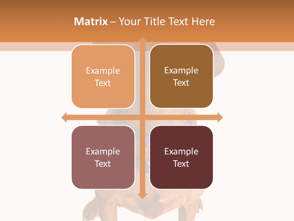 Business Relaxation Of The Businessman. Isolated Over White Background PowerPoint Template