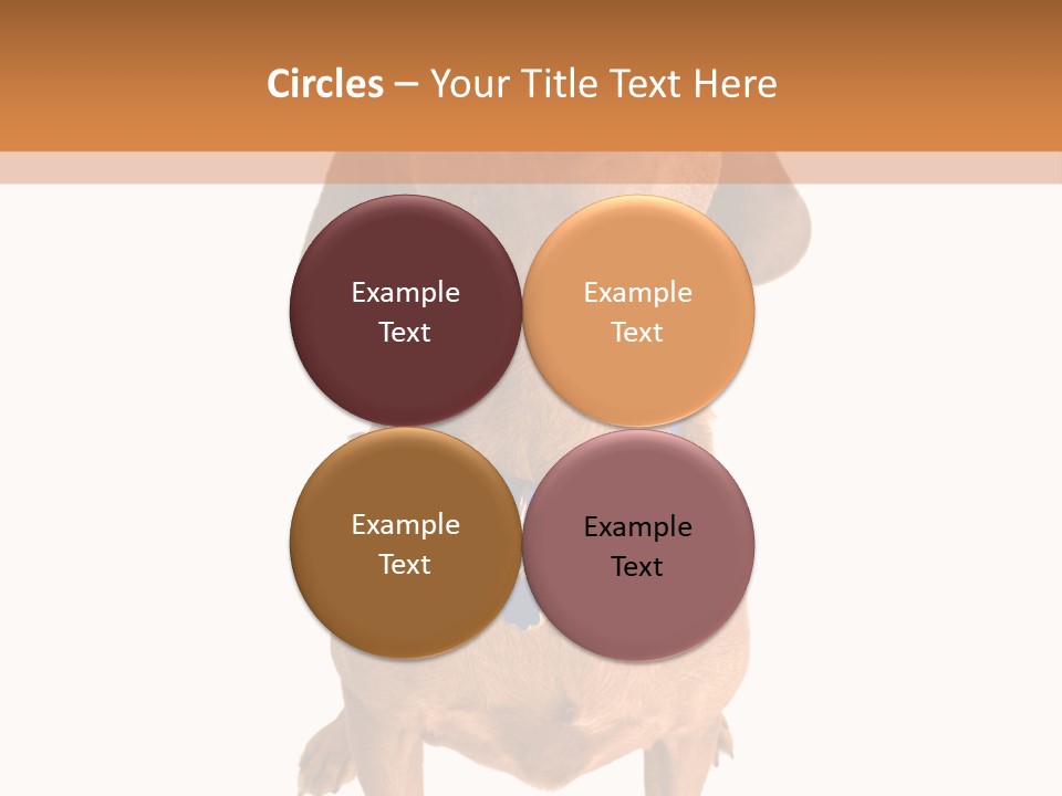 Business Relaxation Of The Businessman. Isolated Over White Background PowerPoint Template