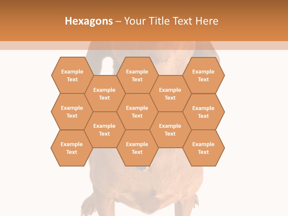 Business Relaxation Of The Businessman. Isolated Over White Background PowerPoint Template