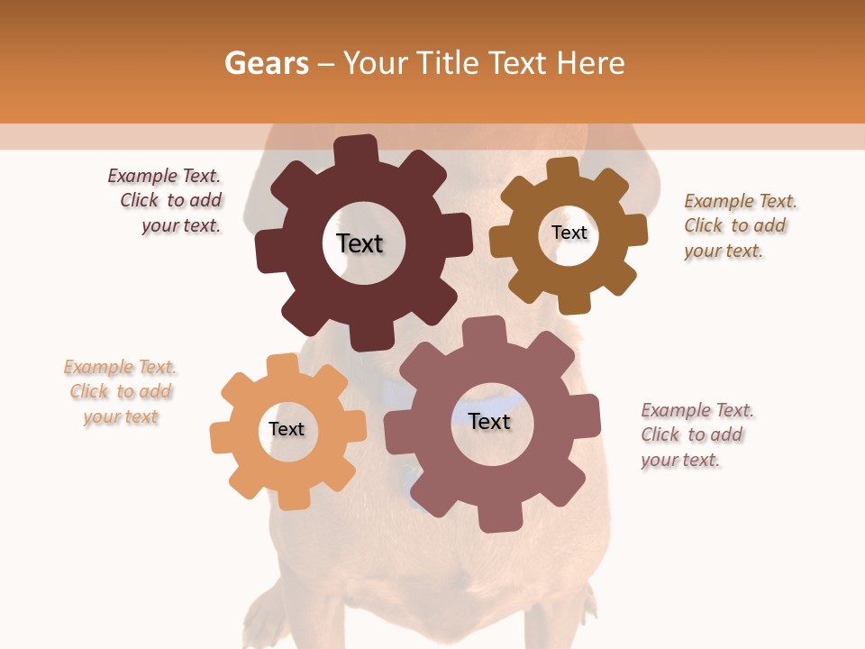 Business Relaxation Of The Businessman. Isolated Over White Background PowerPoint Template