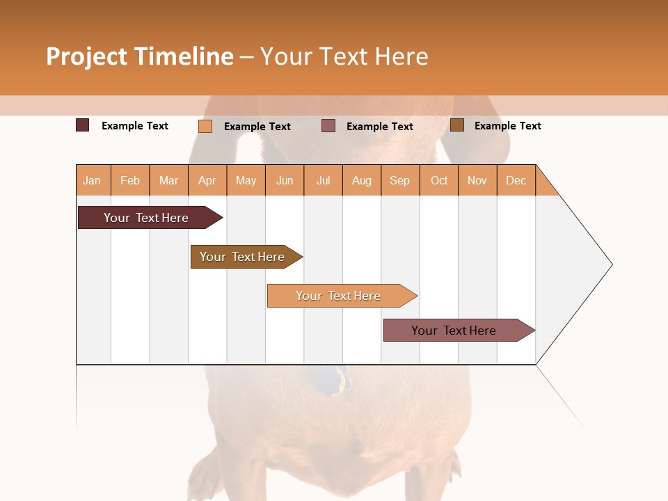 Business Relaxation Of The Businessman. Isolated Over White Background PowerPoint Template