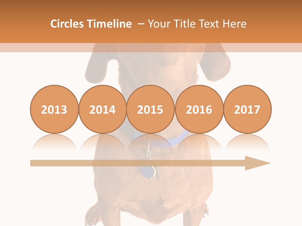 Business Relaxation Of The Businessman. Isolated Over White Background PowerPoint Template