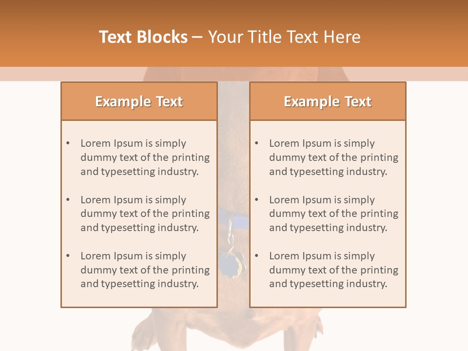 Business Relaxation Of The Businessman. Isolated Over White Background PowerPoint Template