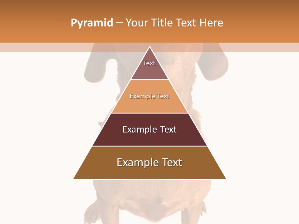 Business Relaxation Of The Businessman. Isolated Over White Background PowerPoint Template