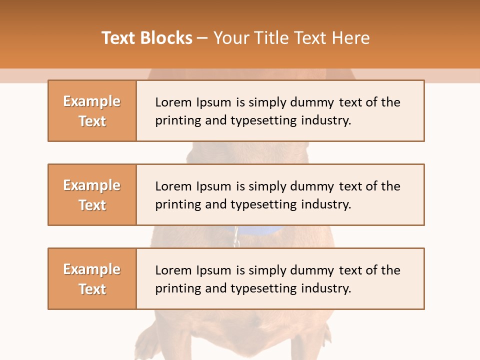 Business Relaxation Of The Businessman. Isolated Over White Background PowerPoint Template