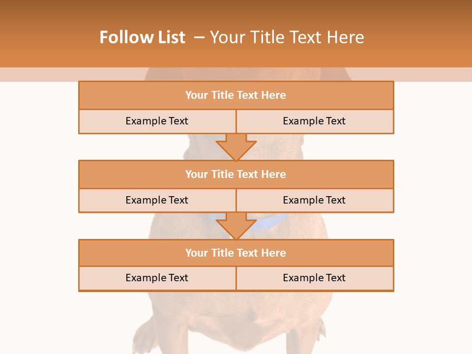 Business Relaxation Of The Businessman. Isolated Over White Background PowerPoint Template