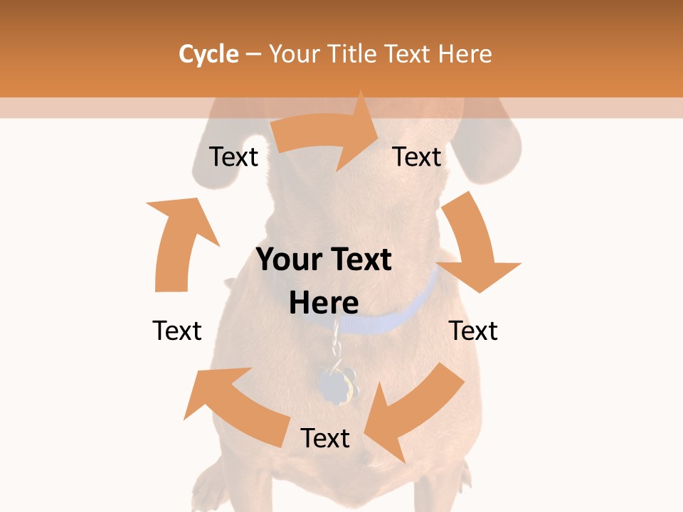 Business Relaxation Of The Businessman. Isolated Over White Background PowerPoint Template