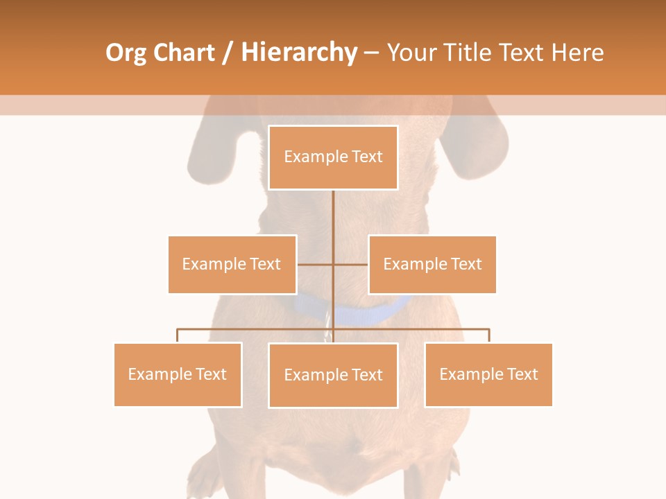 Business Relaxation Of The Businessman. Isolated Over White Background PowerPoint Template