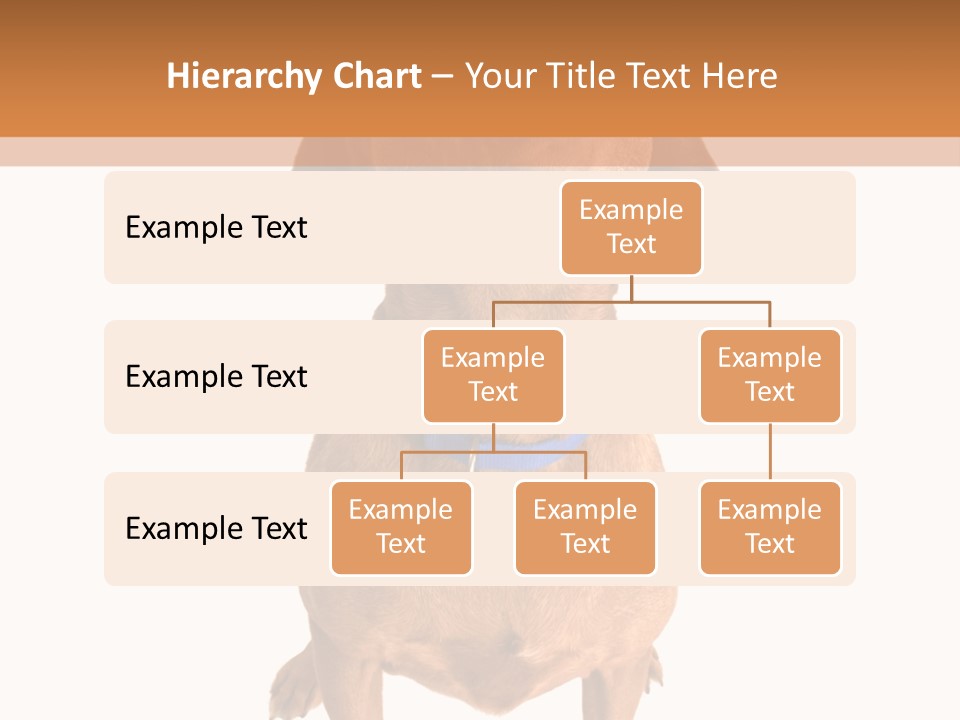 Business Relaxation Of The Businessman. Isolated Over White Background PowerPoint Template