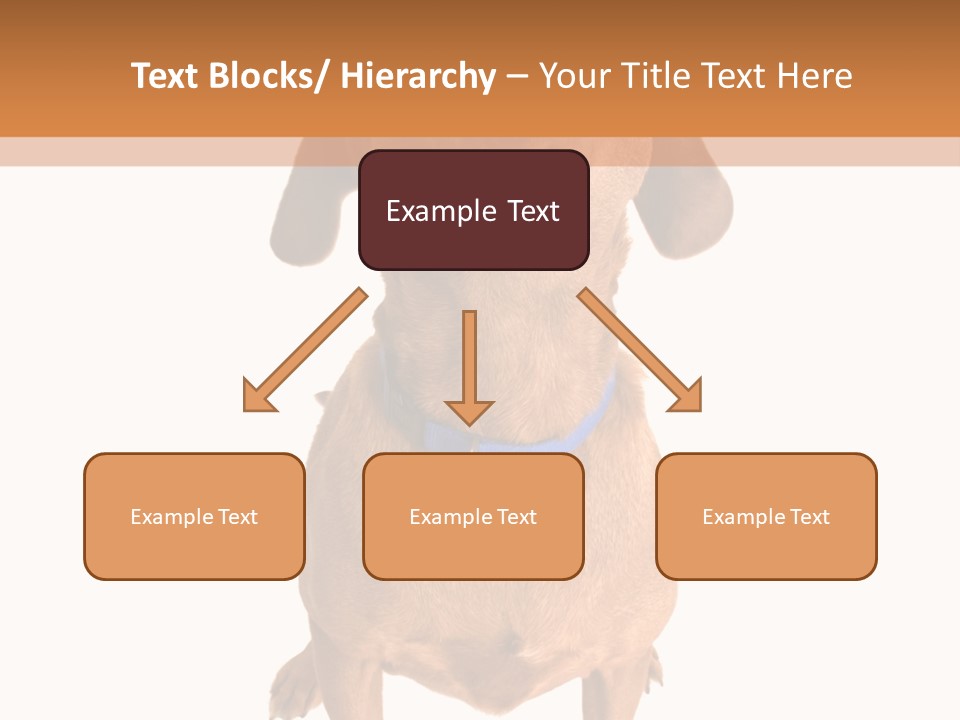 Business Relaxation Of The Businessman. Isolated Over White Background PowerPoint Template