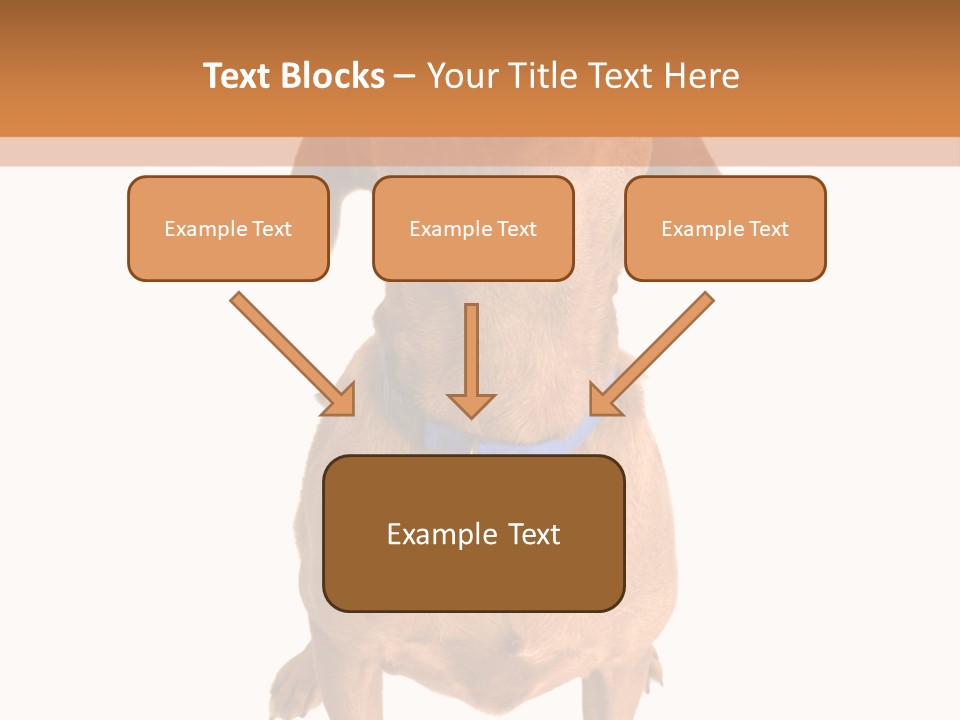 Business Relaxation Of The Businessman. Isolated Over White Background PowerPoint Template