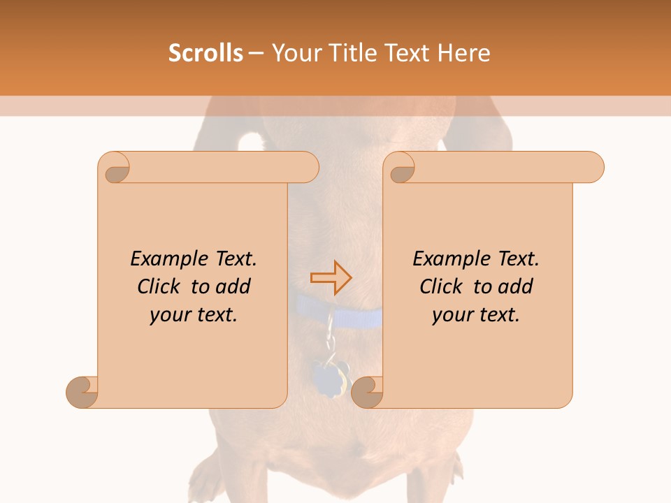 Business Relaxation Of The Businessman. Isolated Over White Background PowerPoint Template