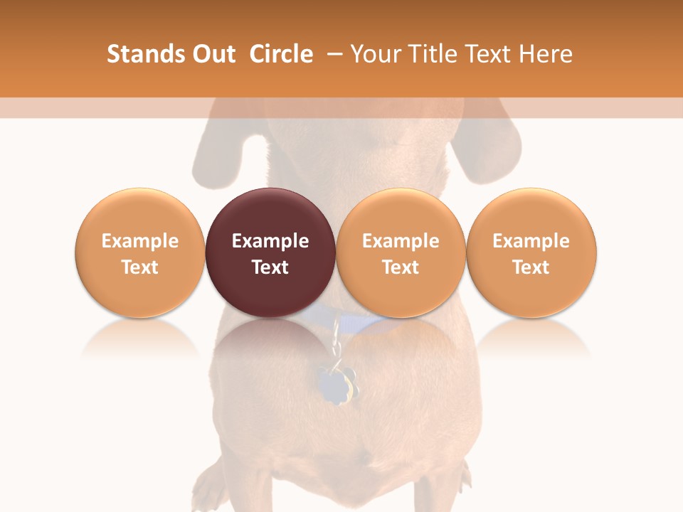 Business Relaxation Of The Businessman. Isolated Over White Background PowerPoint Template