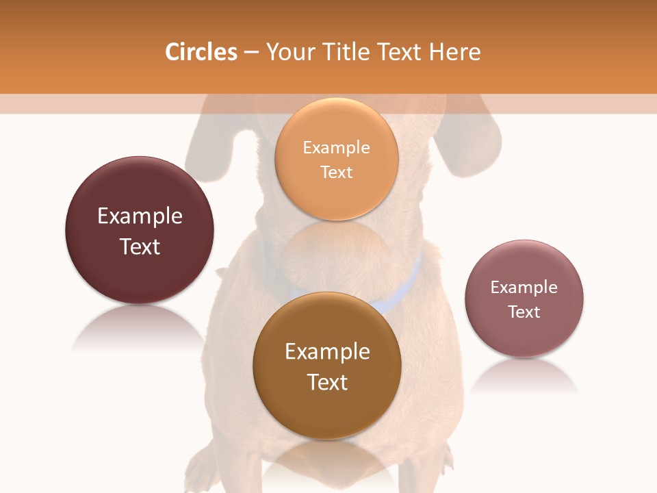 Business Relaxation Of The Businessman. Isolated Over White Background PowerPoint Template