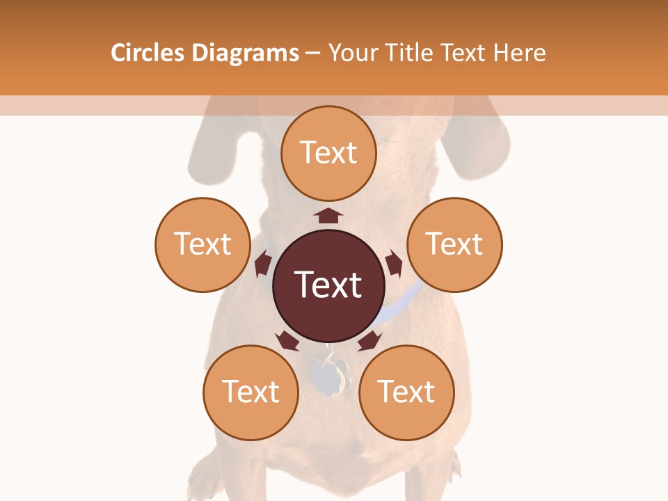 Business Relaxation Of The Businessman. Isolated Over White Background PowerPoint Template