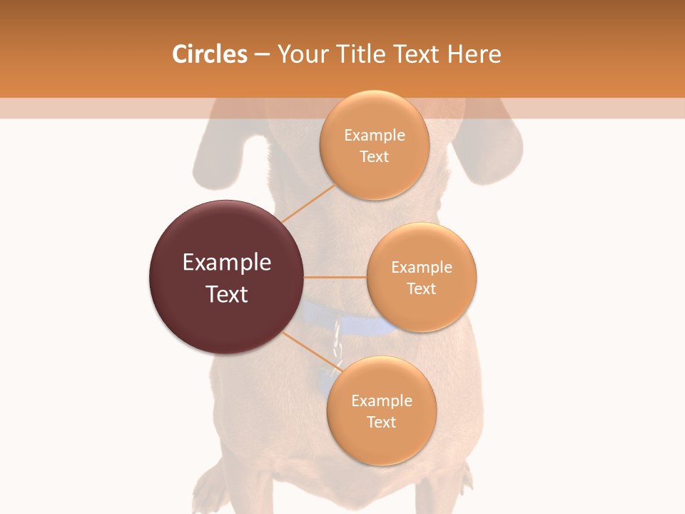 Business Relaxation Of The Businessman. Isolated Over White Background PowerPoint Template