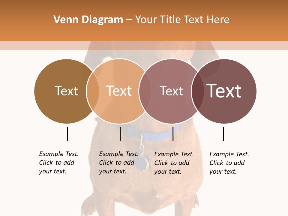 Business Relaxation Of The Businessman. Isolated Over White Background PowerPoint Template