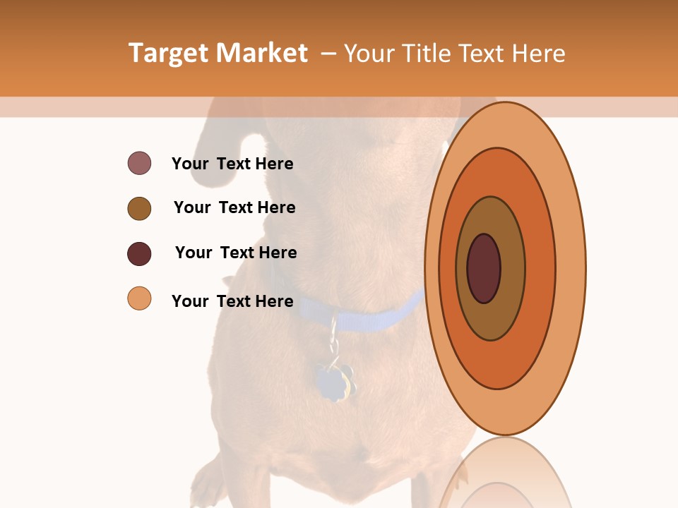 Business Relaxation Of The Businessman. Isolated Over White Background PowerPoint Template