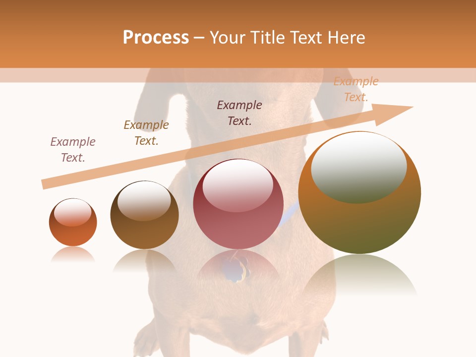 Business Relaxation Of The Businessman. Isolated Over White Background PowerPoint Template