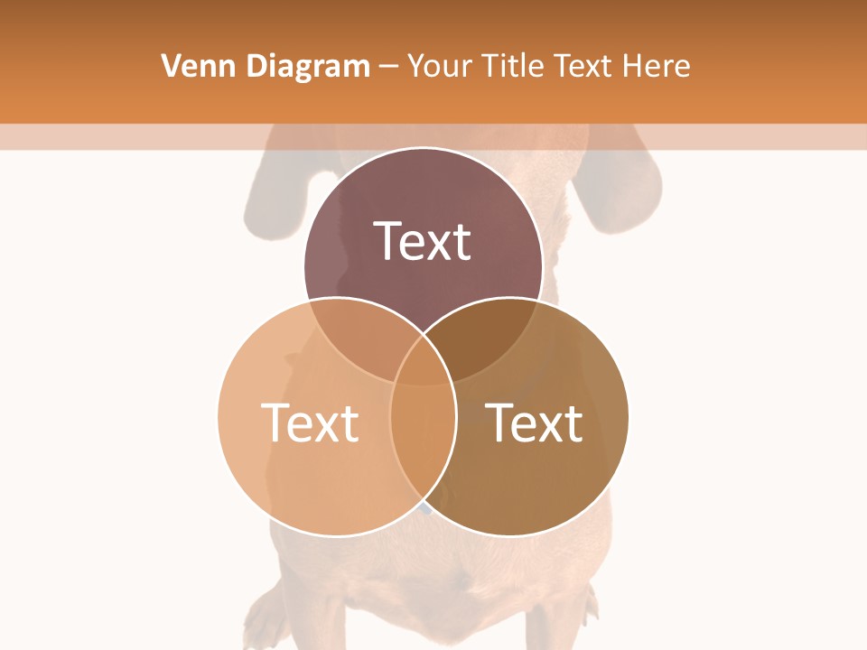 Business Relaxation Of The Businessman. Isolated Over White Background PowerPoint Template