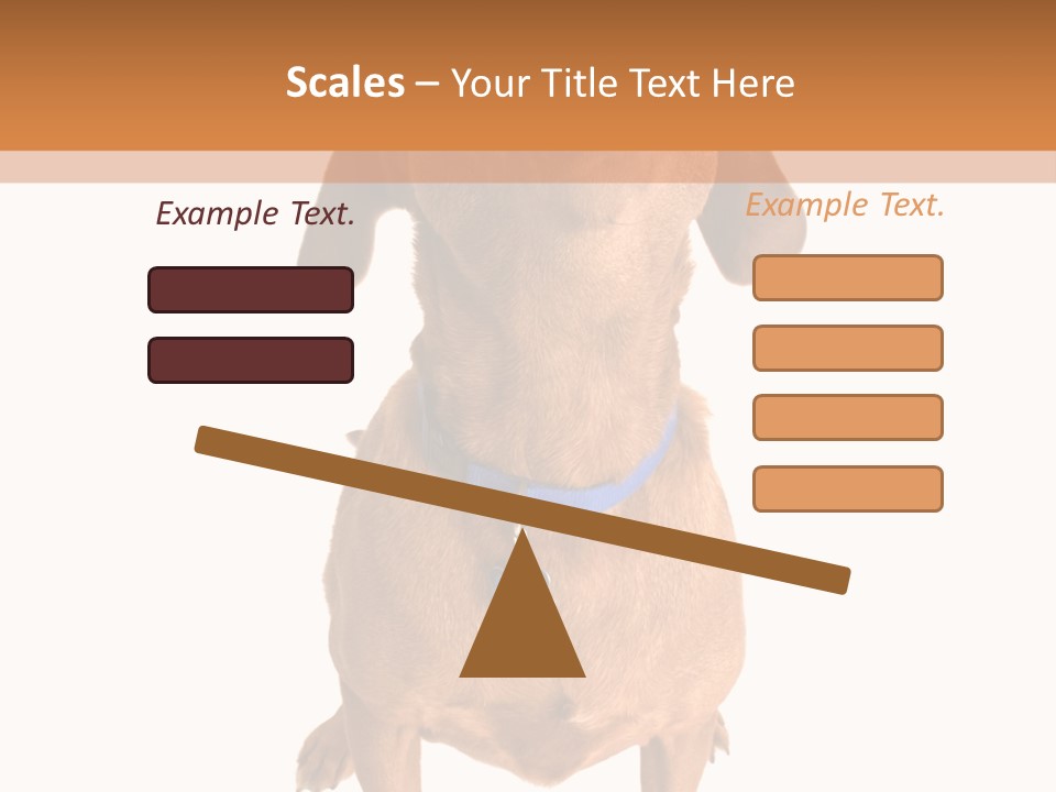 Business Relaxation Of The Businessman. Isolated Over White Background PowerPoint Template