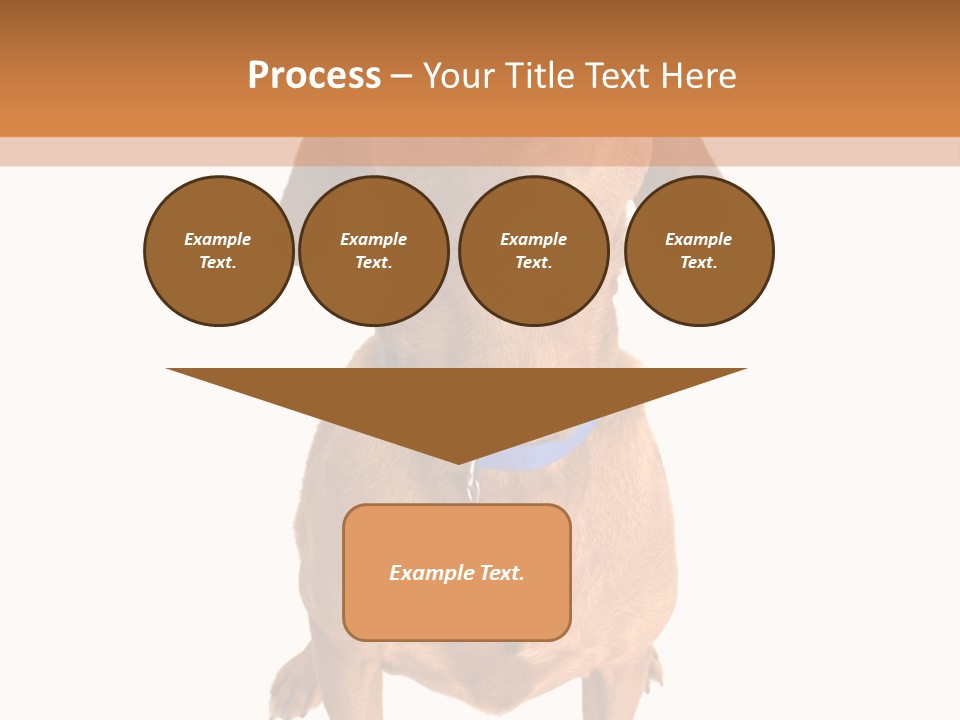 Business Relaxation Of The Businessman. Isolated Over White Background PowerPoint Template