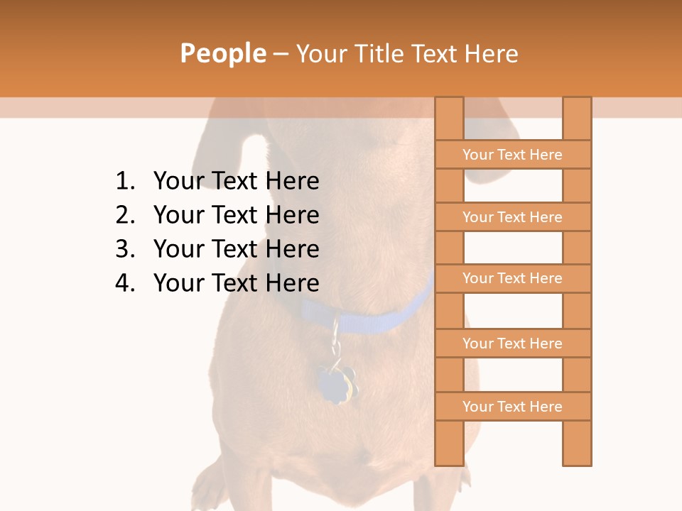 Business Relaxation Of The Businessman. Isolated Over White Background PowerPoint Template