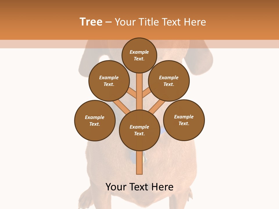 Business Relaxation Of The Businessman. Isolated Over White Background PowerPoint Template